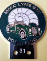badge Morgan :MSCC Lyme green